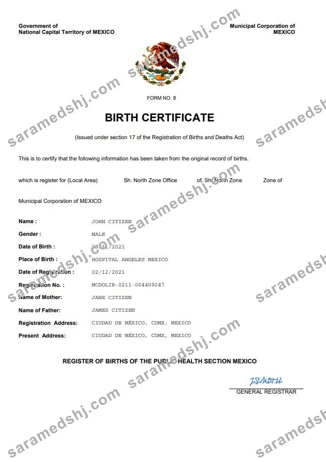 Mexico birth certificate Word and PDF template